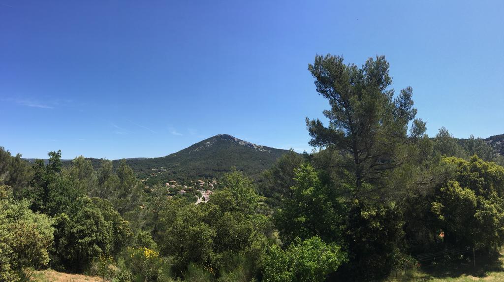Apartamento Le Gite Des Cadieres Evenos Exterior foto